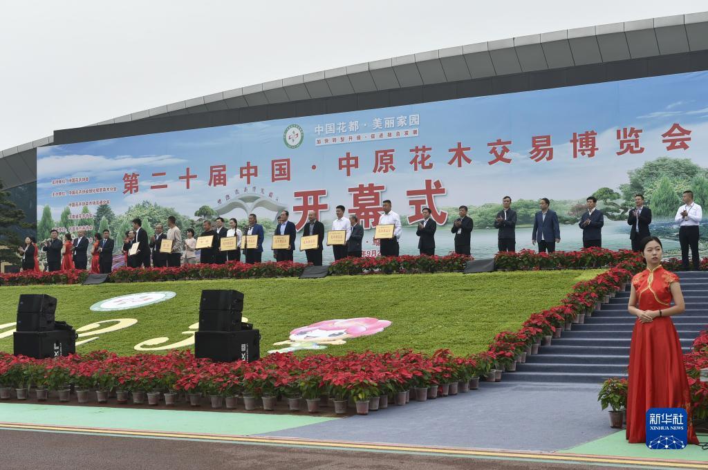 情怀棋牌官网